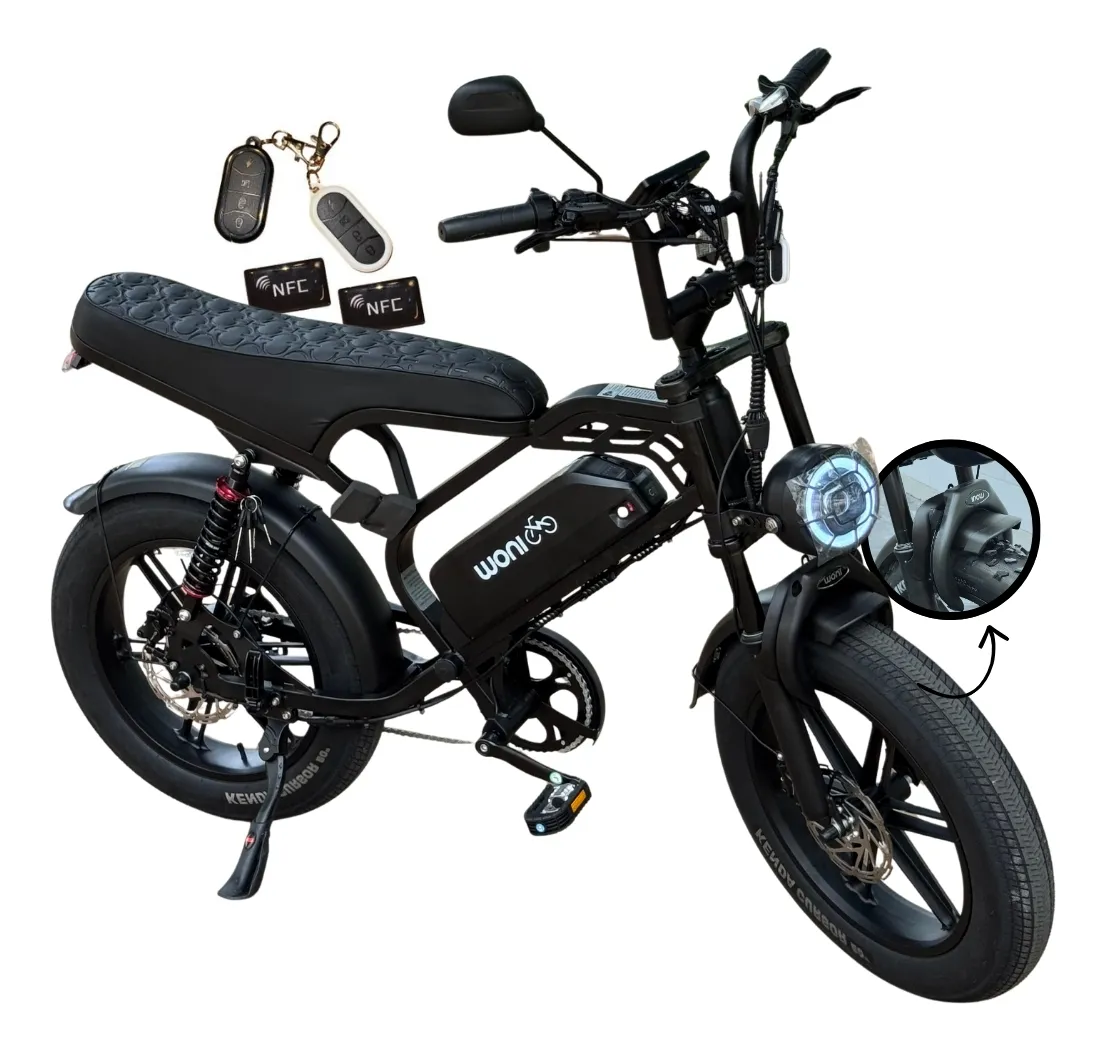 Flash R02 Scooter Elétrica 1000W